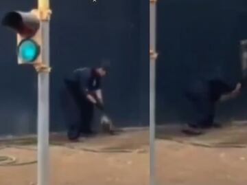 Cae sujeto que azotó a un tlacuache hasta la muerte en Nuevo León; puede enfrentar pena de hasta 9 años