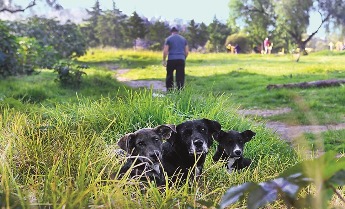 Foto: Archivo/ EL UNIVERSAL