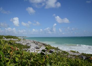 Crearán Reserva de la Biósfera del Caribe Mexicano
