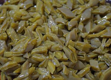 Esta es la razón por la que debes iniciar el año comiendo nopales