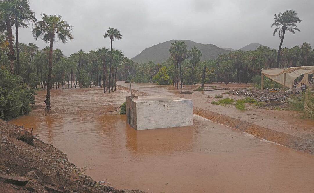  El ciclón golpeó la costa oeste del municipio de Mulegé, y afectó a las comunidades pesqueras de la Laguna de San Ignacio, Punta Abreojos, La Bocana y Bahía Tortugas, así como pueblos aledaños.