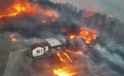 Sube a 26 cifra de muertos tras incendios forestales masivos en Corea del Sur; van más de 35 mil áreas afectadas