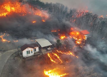 Sube a 26 cifra de muertos tras incendios forestales masivos en Corea del Sur; van más de 35 mil áreas afectadas
