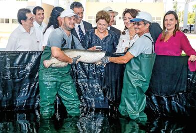 Rousseff sugiere comicios para decidir su destino