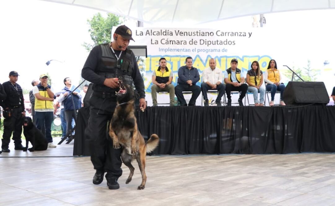 Foto: créditos especiales 
