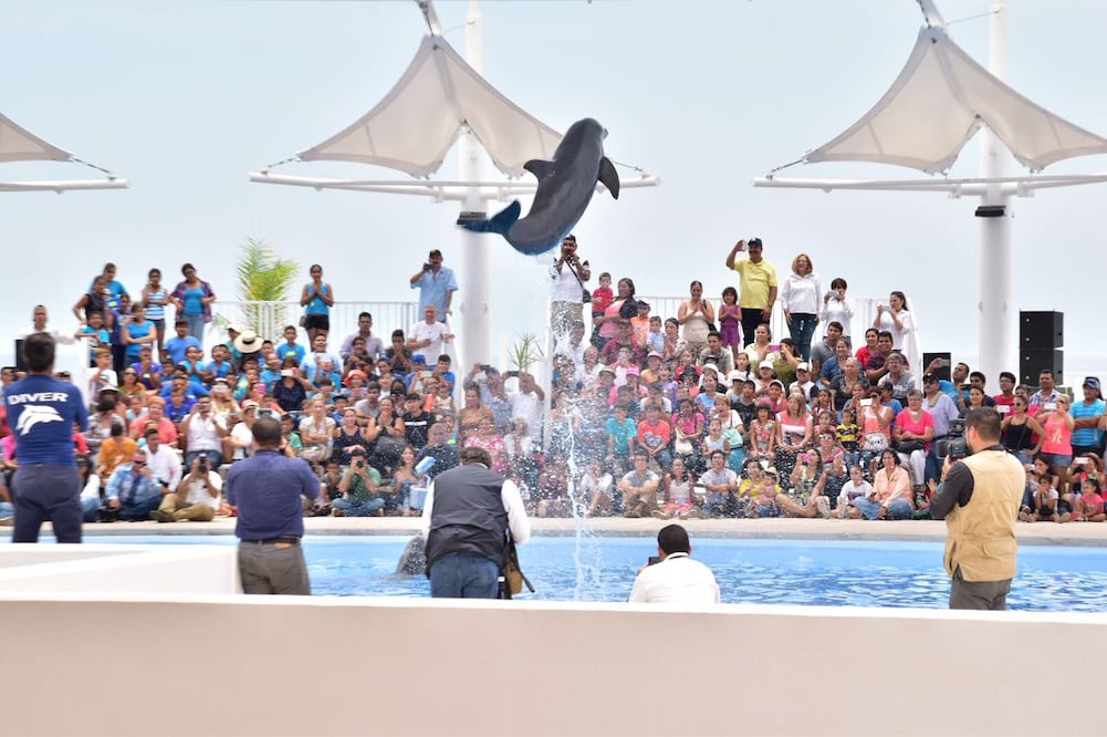 Fotos: Amalia Escobar / EL UNIVERSAL