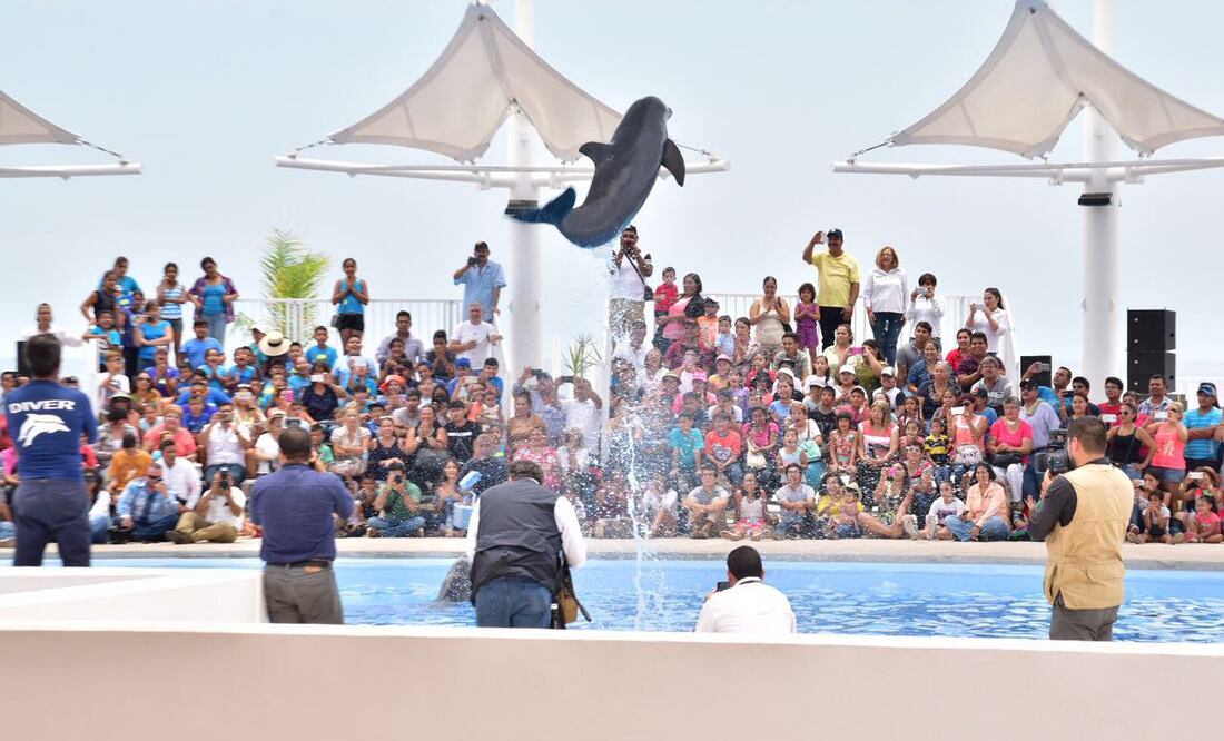 Fotos: Amalia Escobar / EL UNIVERSAL