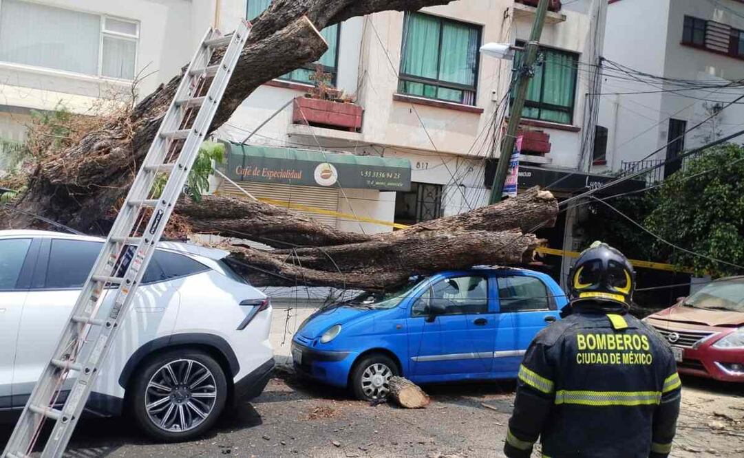 Bomberos de la Ciudad de México y Protección Civil de Gobierno Capitalino atienden diversas emergencias tras las lluvias y los vientos. Foto: Especiales
