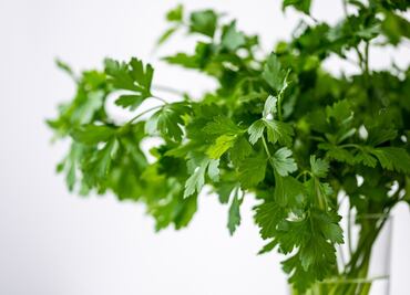 Conoce los beneficios de consumir té de perejil en ayunas