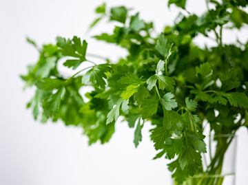 Conoce los beneficios de consumir té de perejil en ayunas