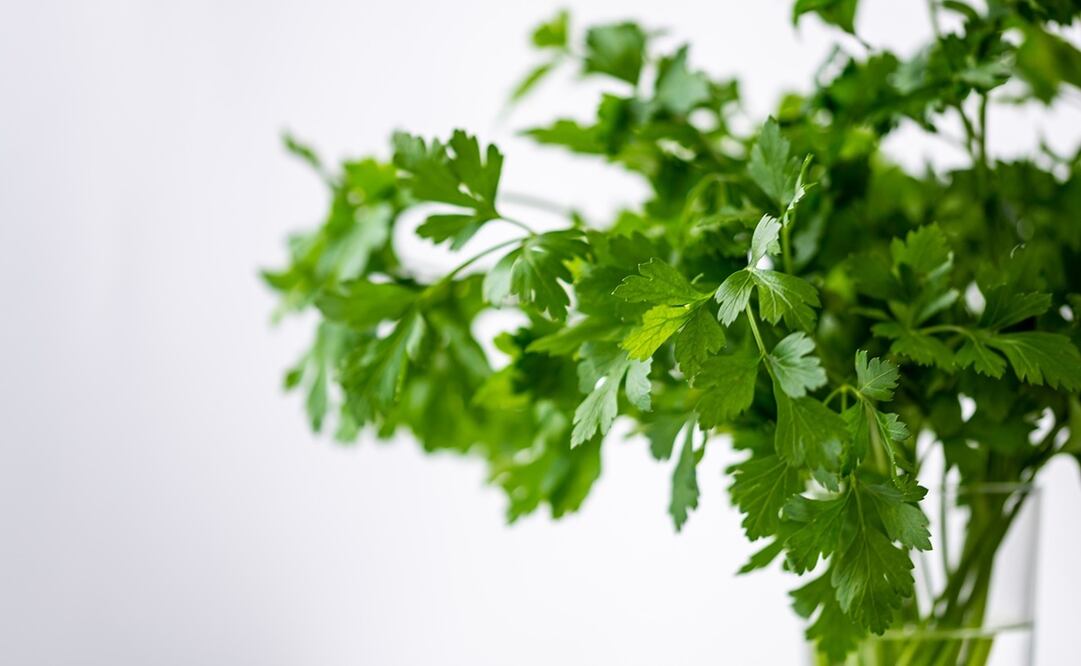 Perejil. Foto: Pixabay