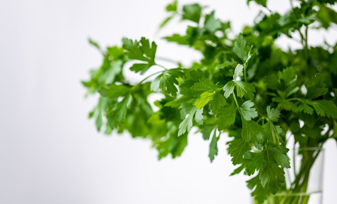 Se puede realizar una ensalada sencilla en la que tendrá que añadir un par de hojas picadas para darle un toque de sabor. Foto: Pixabay