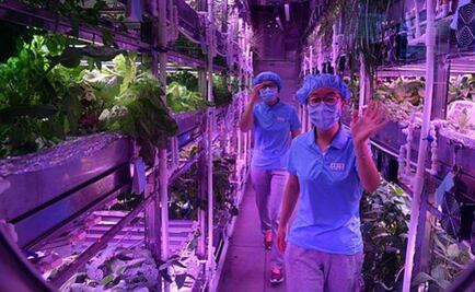 Se inicia en China una simulación de colonia lunar