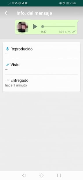 El significado de las palomas grises en WhatsApp