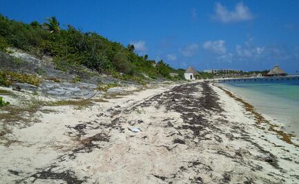Denuncia a menores amparados contra proyecto hotelero en Cancún, "como ataques a Greta Thunberg"