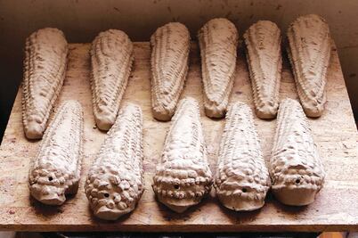 'Milpa', una muestra contra el maíz transgénico