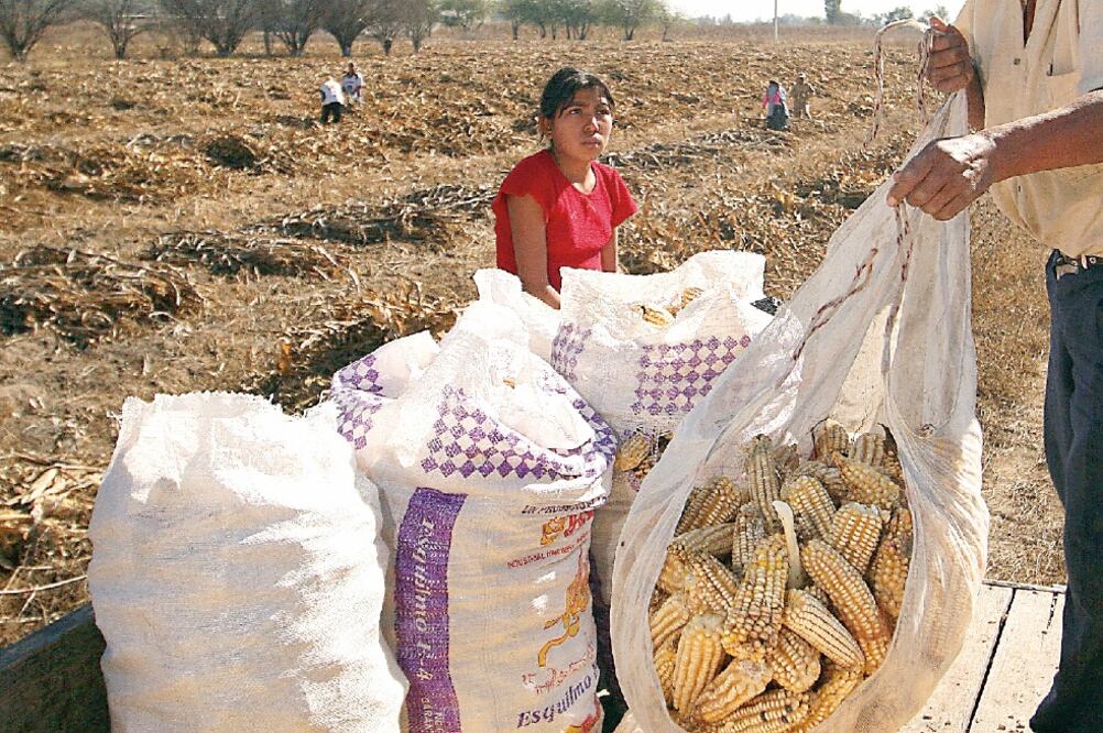 La Alianza del Pacífico empieza a eliminar en abril los impuestos a 92.1% de las fracciones arancelarias, dio a conocer la Secretaría de Economía (ARCHIVO EL UNIVERSAL)