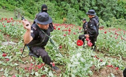 Mexican drug cartels fight over Guatemala