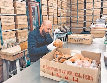 Hallazgos en esqueletos del Museo Nacional de Antropología  