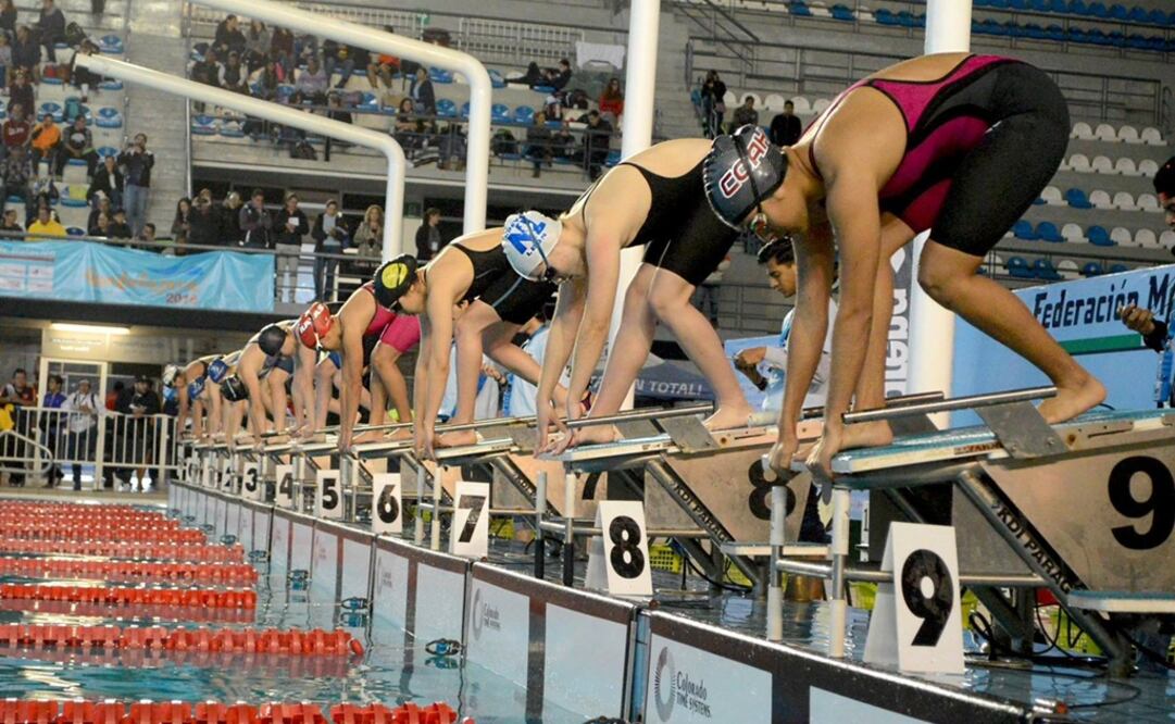 Se necesita una respuesta