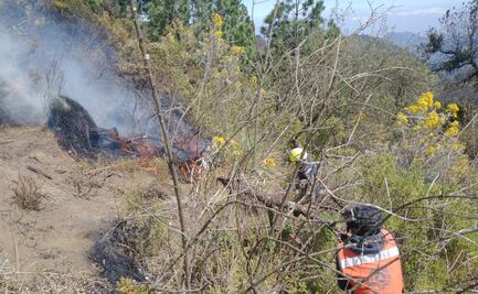 Reportan tres incendios forestales en la zona montañosa central de Veracruz