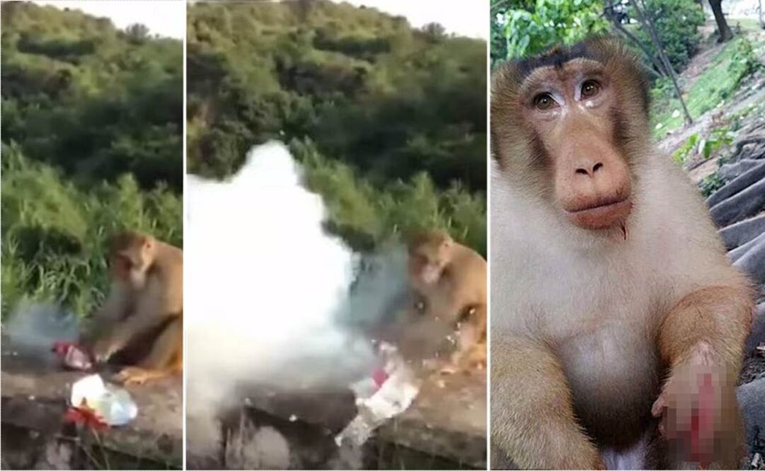 Foto: Tomada de YouTube y Facebook Shah Mikail