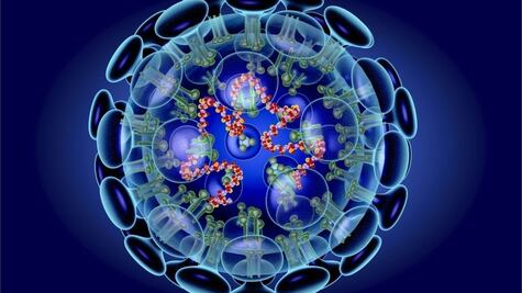 Además de EU y China, en estos países hay casos de coronavirus 