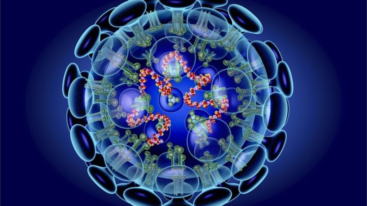 Se cree que el virus 2019-nCoV es una nueva cepa de coronavirus que no se había identificado previamente en humanos. Foto: Science Photo Library
