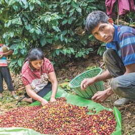 Un documental que cambia el sabor del café 