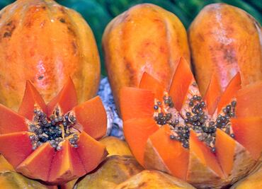 Revoca EU alerta sobre consumo de papaya mexicana