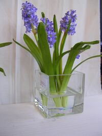 Decoración ecológica,  un respiro al planeta