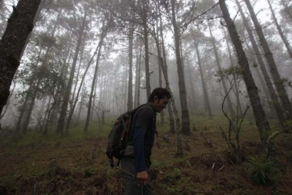 Dónde hacer astroturismo o turismo de las estrellas en México