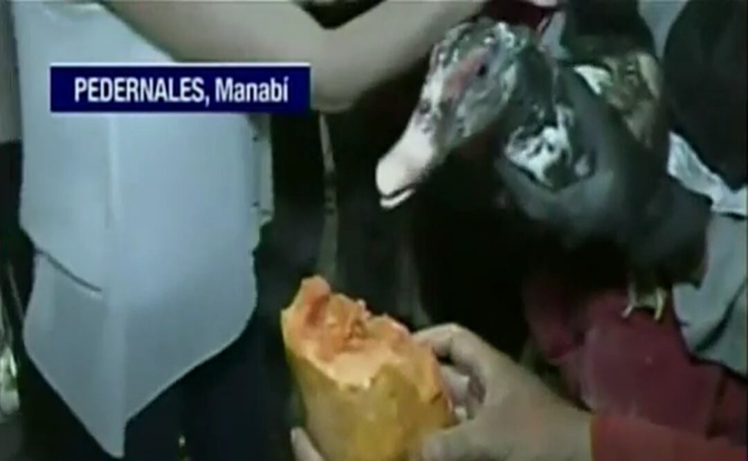 (Foto:Captura de YouTube)