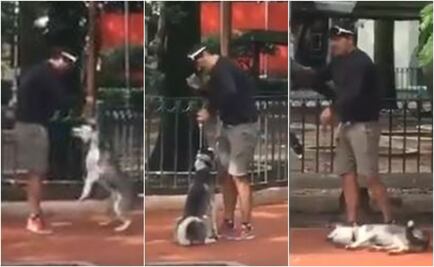 Detienen a entrenador por ahorcar a un perro Husky