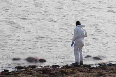 Localizan cuerpos de dos mujeres en la presa de Cointzio