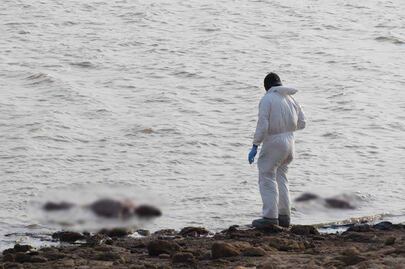 Localizan cuerpos de dos mujeres en la presa de Cointzio