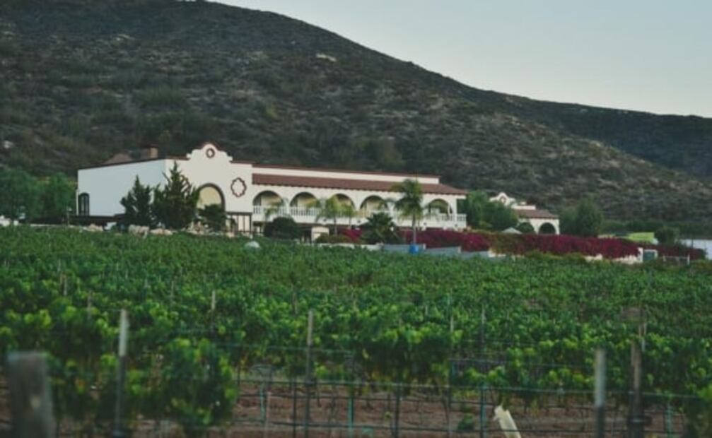 5 haciendas de México donde puedes dormir, beber vino y pasear