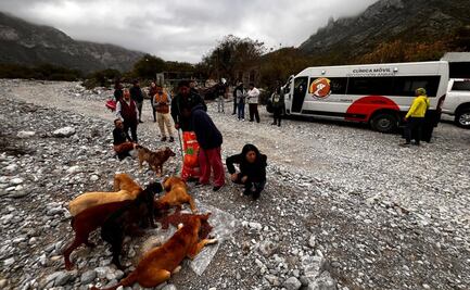 Rescatan animales abandonados durante la tormenta “Alberto” en Santa Catarina, NL; entre 30 y 50 mascotas recibirán atención