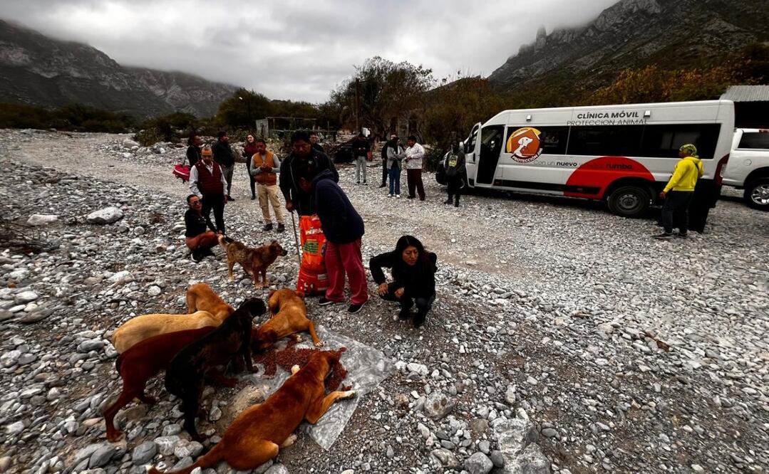 Los recorridos se realizarán en el interior del parque ecológico La Huasteca. Foto: Especial