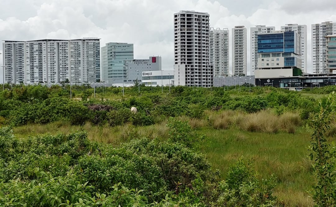 Foto: Adriana Varillas / EL UNIVERSAL