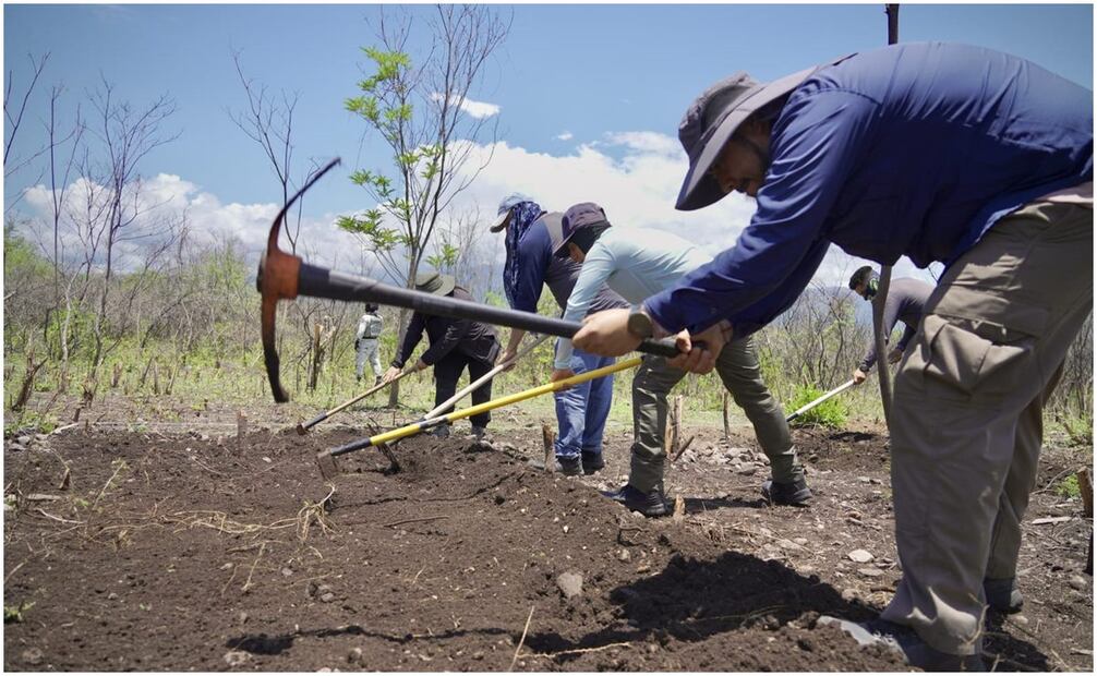 Caso Ayotzinapa: Subsecretario de Segob comparte FOTOS de la búsqueda en campo de los 43. Foto: Especial