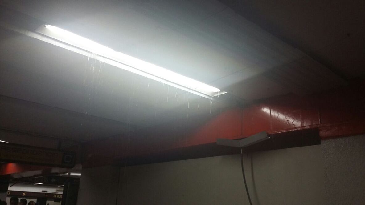 Foto: Viviana Talavera