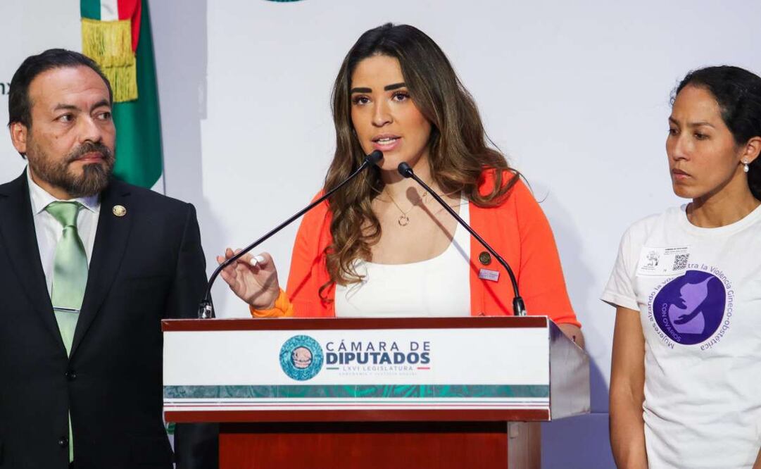 María Teresa Ealy presenta iniciativa desde San Lázaro. Foto: Especial