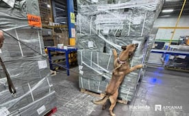 Aseguran más de 4 toneladas de cigarros apócrifos en el AICM; cargamento provenía de Singapur