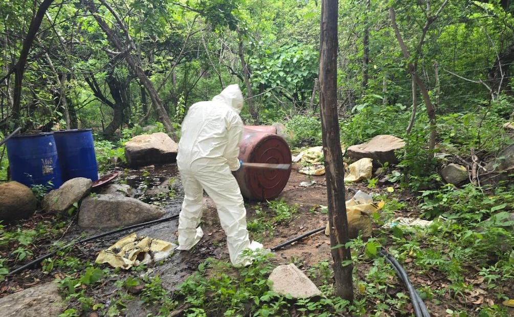 Semar destruye tres narcolaboratorios en Sinaloa (01/07/2026). Foto: Especial