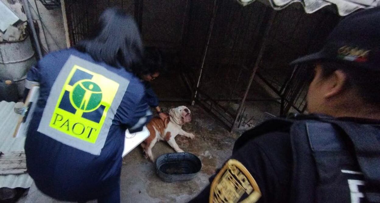 Aprueban fecha y formato para las entrevistas a los candidatos a dirigir la PAOT
Foto: Especial