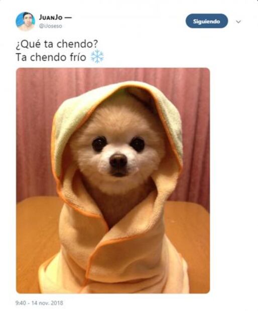 Te dejamos unos memes del frío para entrar en calor