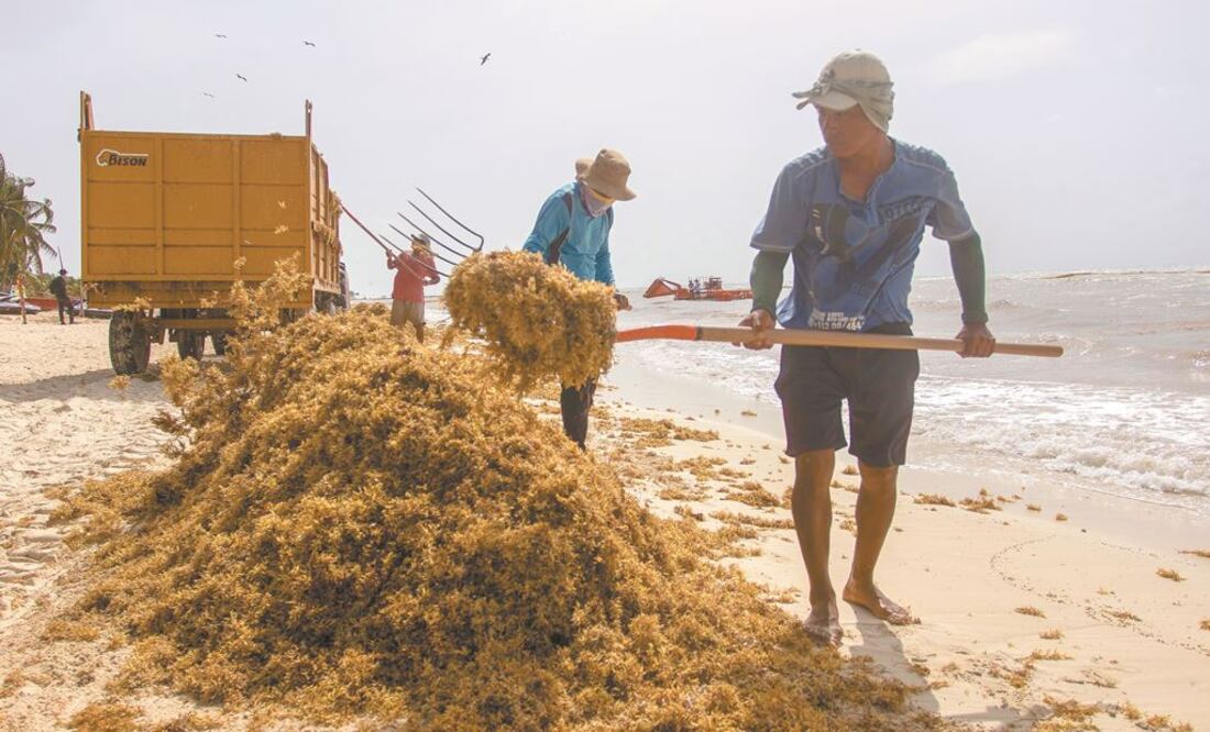 El recorrido contempla el estudio del Atlántico central y el Gran Caribe en cinco fases de investigación, abarcando territorios exclusivos de más de 25 países y regiones insulares. Foto: Especial