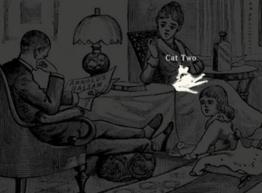 Esta imagen de la época victoriana esconde dos gatos, ¿puedes verlos?