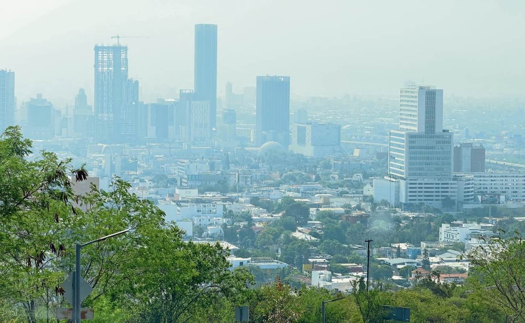 Cuando una ciudad está cubierta por concreto, asfalto o metal la temperatura se eleva hasta nueve grados debido a las islas de calor que se forman. Foto: MARCELA PERALES/EL UNIVERSAL